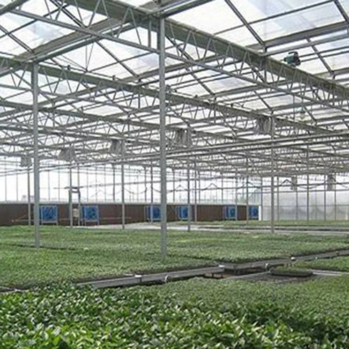 Invernadero hidropónico