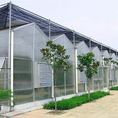 Invernadero de policarbonato de 8 mm