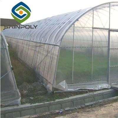 Invernadero de túnel alto para tomates