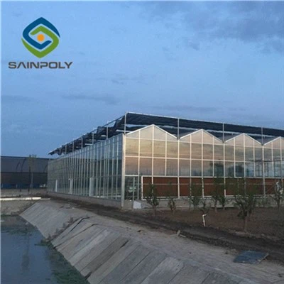 Invernadero de láminas de PC de tomate