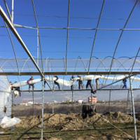 Invernadero de película plástica con protección UV